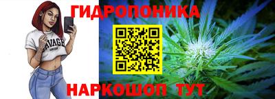 дмт Камышлов