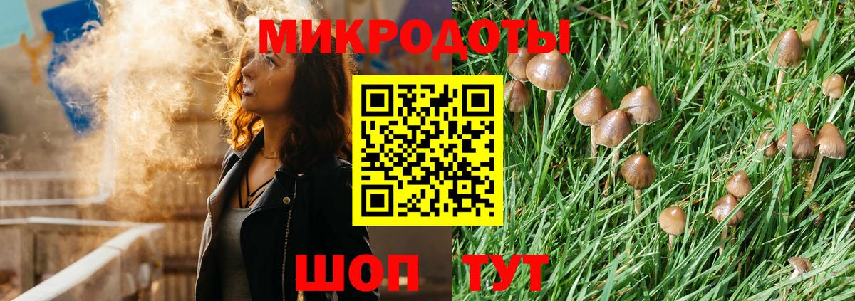 Гусев  Галлюциногенные грибы Cubensis  Вход с VPN 